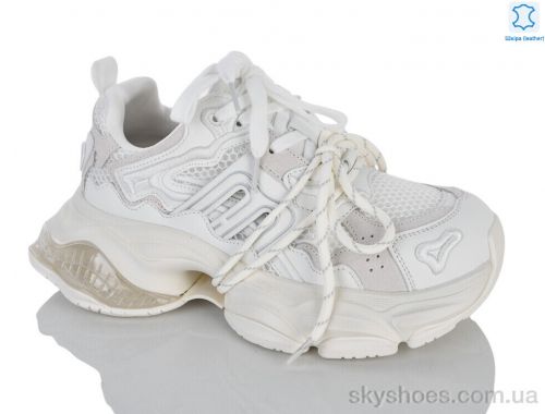 Кросівки EGGA WDP2067-26 Кросівки EGGA WDP2067-26